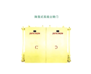 西藏降落式双扇立转门